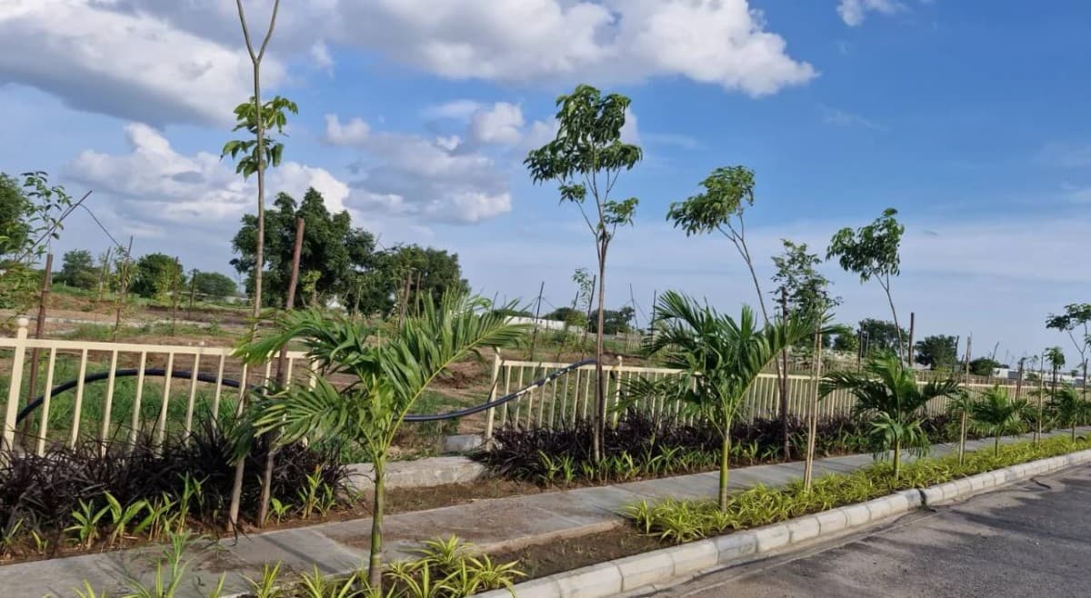 Greens as Far as You Can See