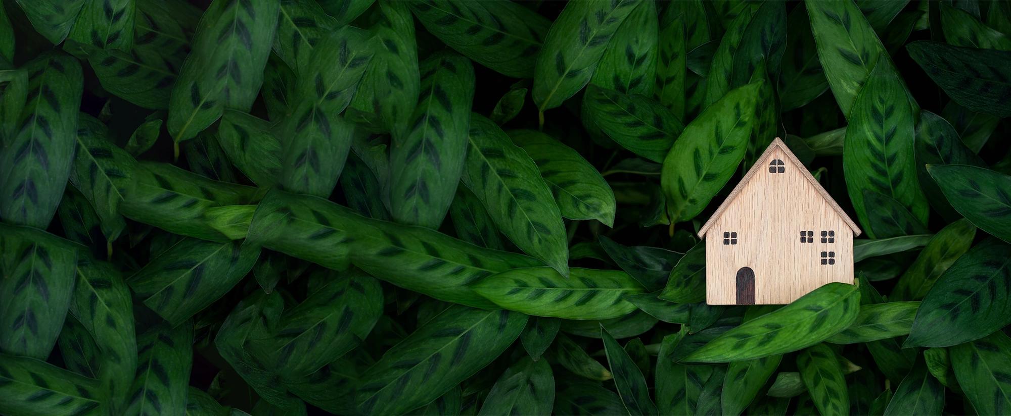 What’s Causing The Demand For Green Real Estate?